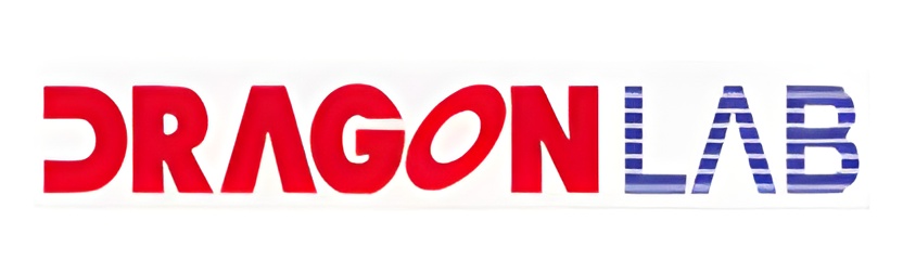 大龙